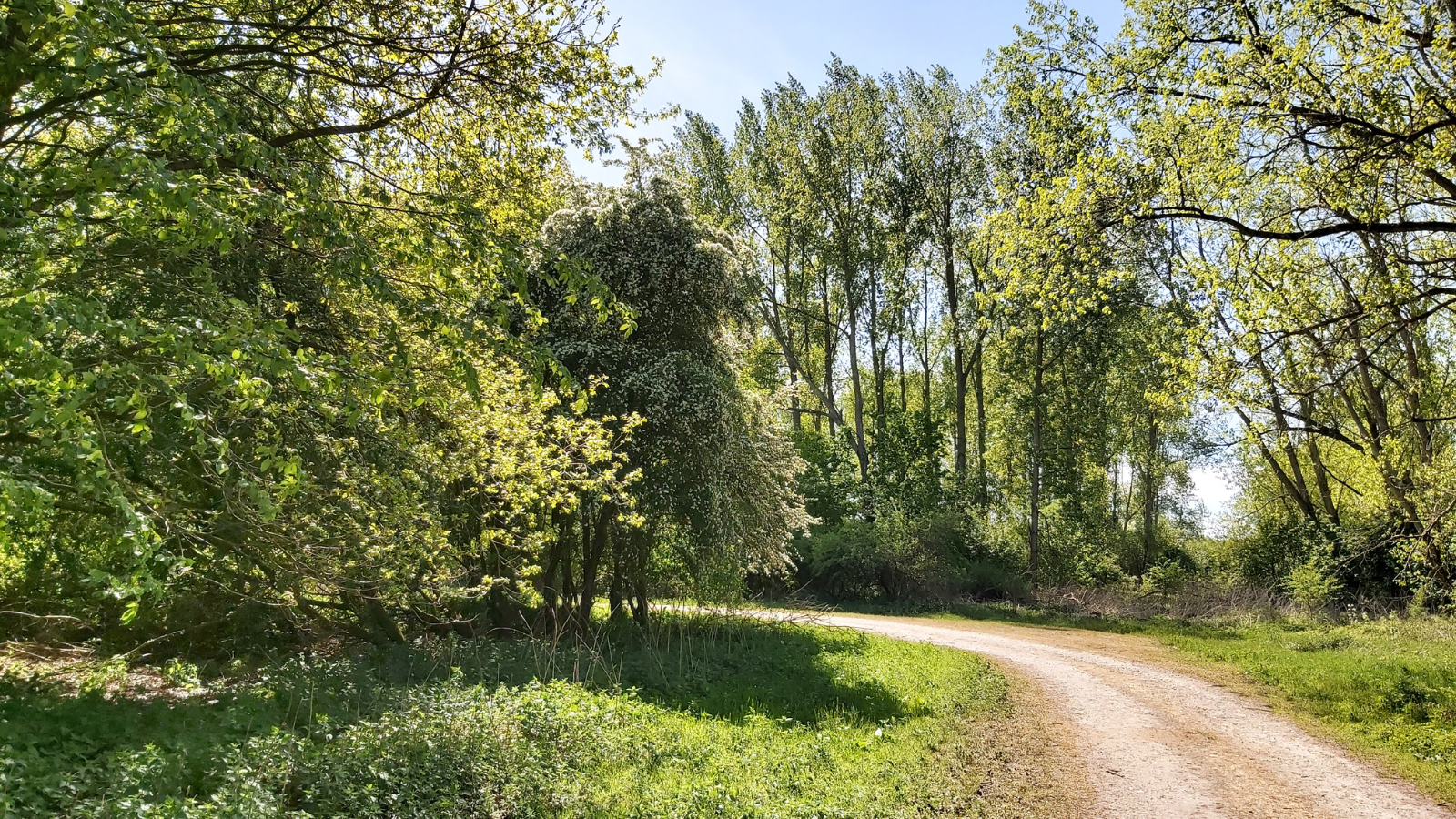 Boswachterspad Horsterwold Stille Kern