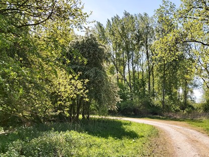 Boswachterspad Horsterwold Stille Kern