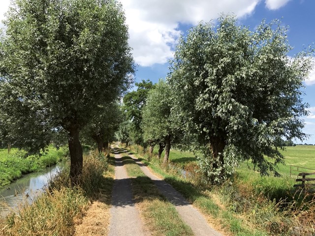 Tiendweg richting Hardinxveld