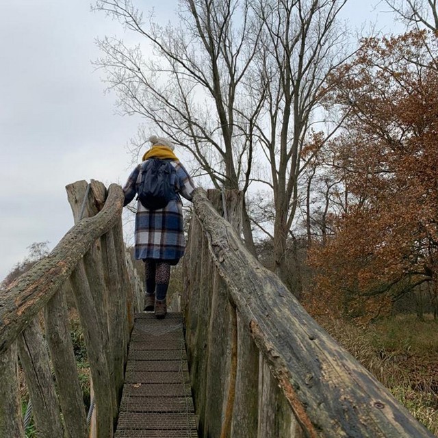 afbeelding van een wandelaar op een bruggetje.