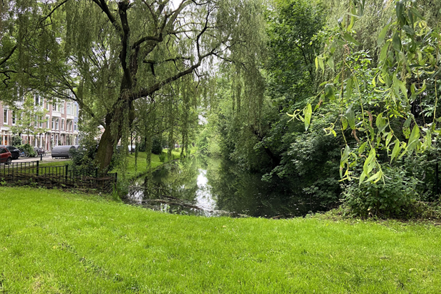 Tussen Stad En Groen Wandelen In Rotterdam: Park Spoortuin
