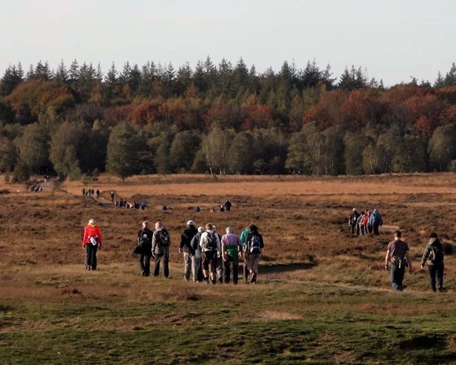 afbeelding van wandelaars op de heide tijdens het Paraglider event.
