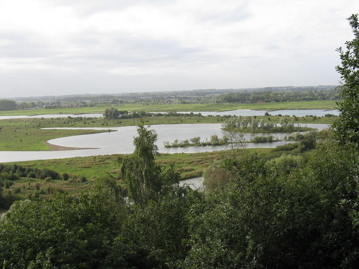 Uitzicht vanaf de Grebbeberg op natuurgebied de Blauwe Kamer
