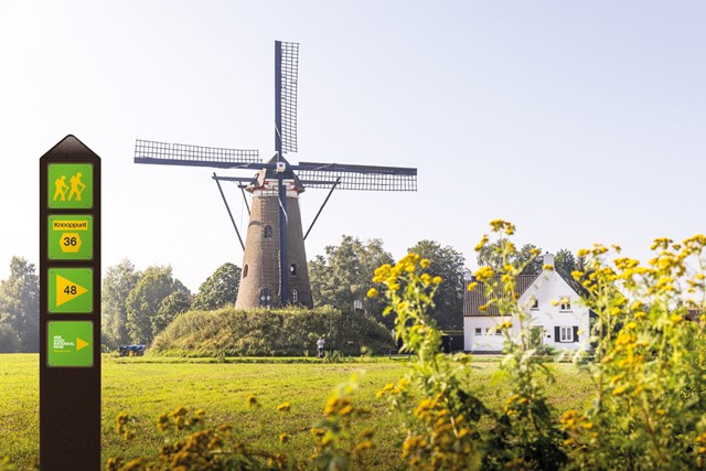 Van Gogh Wandelroutes in Brabant 5x in de voetsporen van de meesterschilder: wandelknooppunten