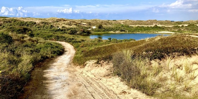 Wandelroutes Langs Nederlandse Kust 10 Tips Boswachterspad Zuid Holland Berkheide