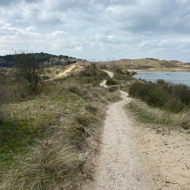 Tussen Stad En Groen Van Haarlem Naar De Kennemer Duinen: Duinen Haarlem