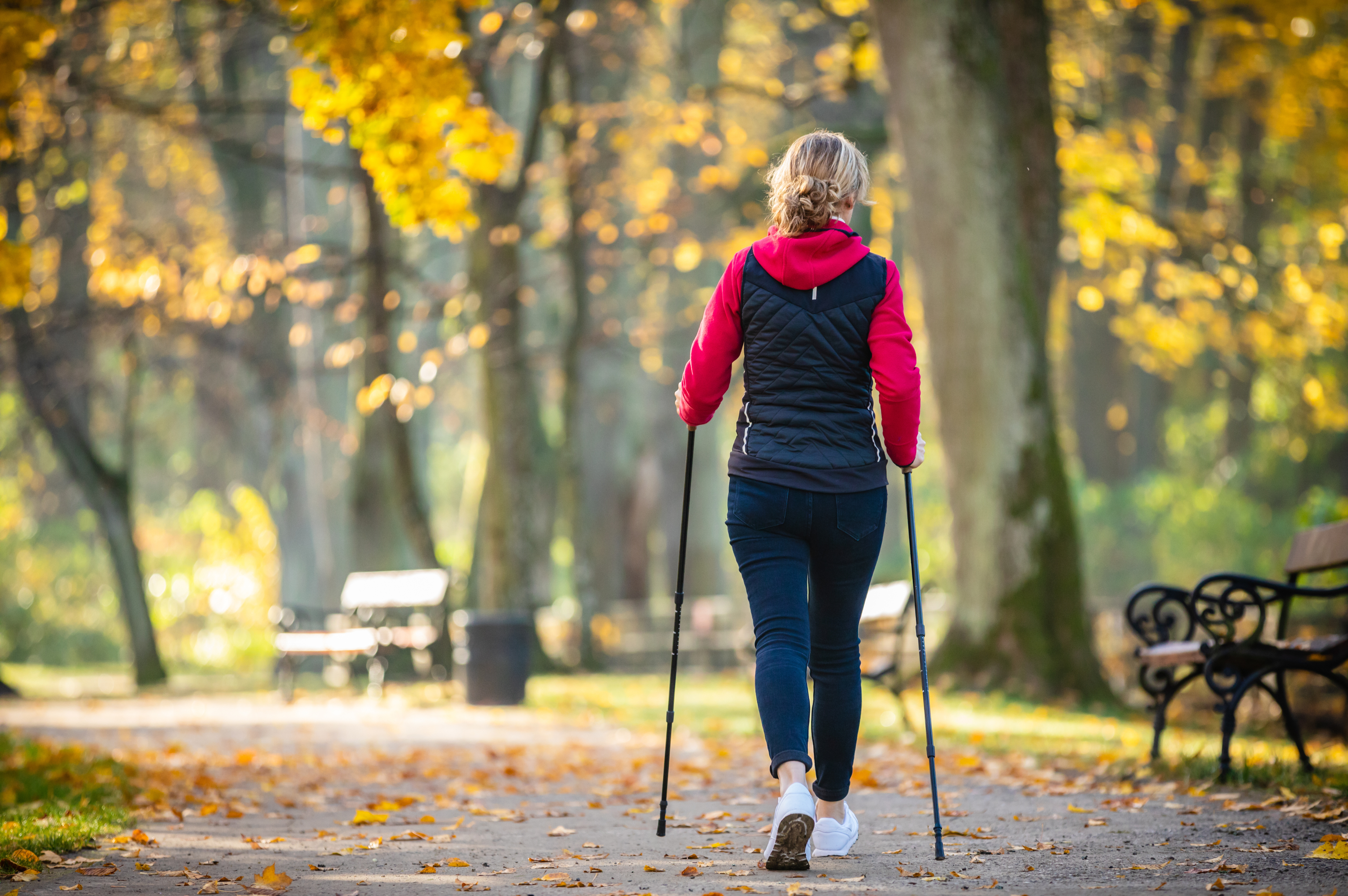 Vrouw wandelt met wandelstokken voor herfstig park