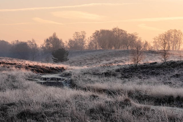 Wandelen in de ijstijd Landgoed De Hamert; heuvels