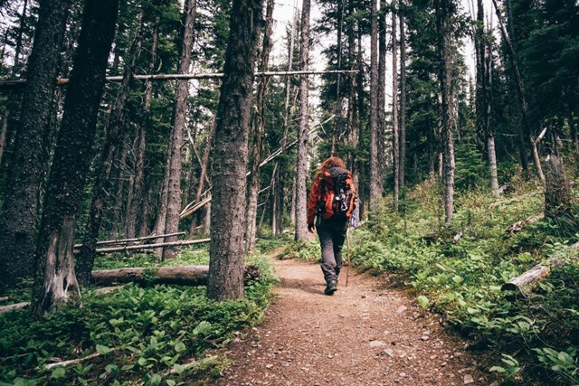 afbeelding van een vrouw die in het bos wandelt.