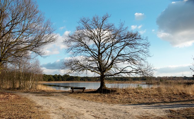 Wandelroutes In Twente 10 Tips Routetip 2 1 Uur Springendal Bergvennen