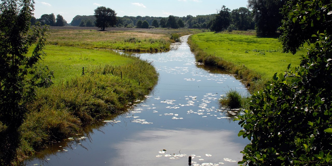 Header Wandelen In Minder Bekende Natuurgebieden Noord Nederland
