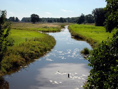 Header Wandelen In Minder Bekende Natuurgebieden Noord Nederland