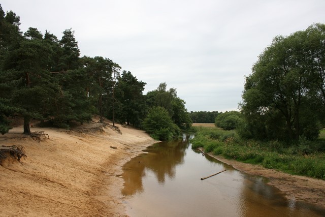 De Dinkel bij het Lutterzand