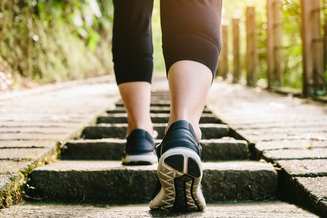 Wandelschoenen Categorie A Kopen Dit Moet Je Weten Sportwinkel Passen