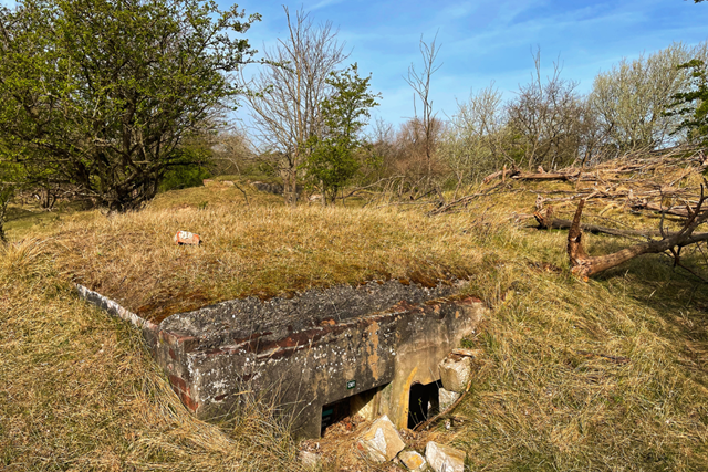 Wandelen Amsterdamse Waterleidingduinen