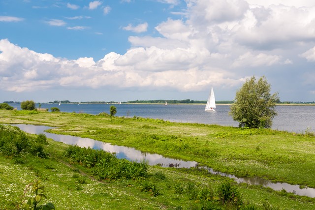 zeilbootje op de rivier met een oever van gras en orchideeën. 