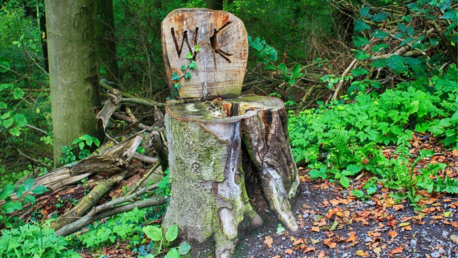 Wildplassen Hoe Doe Je Dat Eigenlijk