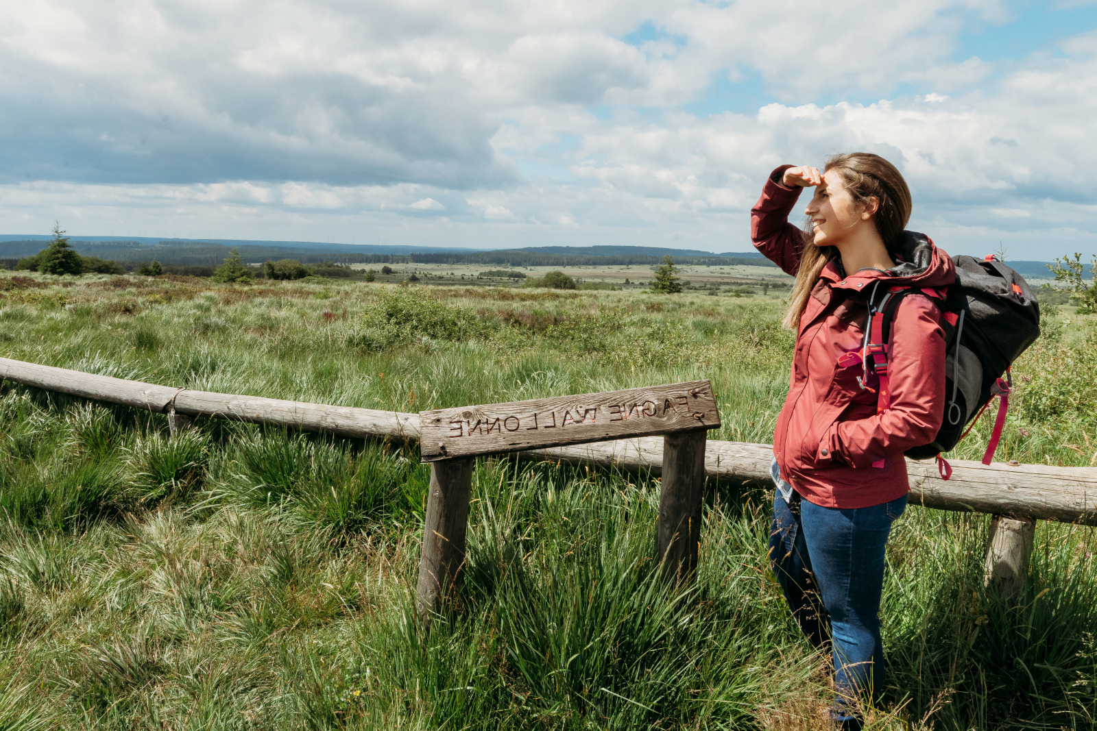 Photo Parc Naturel Des Hautes Fagnes