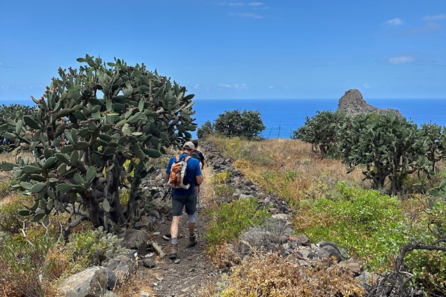 Wandelen in Parque Rural de Anaga.