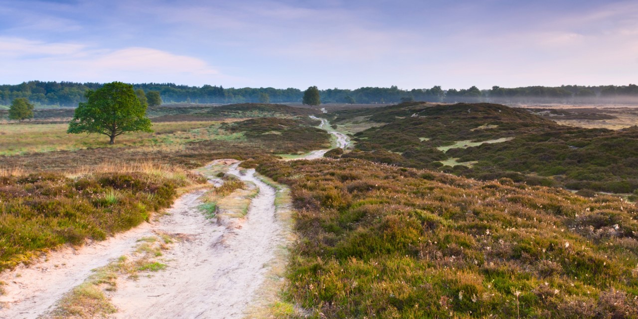 Dit Zijn De Mooiste Duinwandelingen Van Nederland