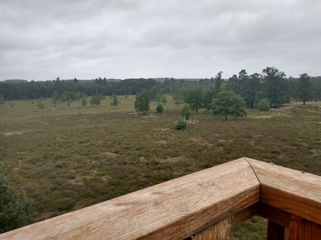Elmpter Schwalmbruch Uitkijktoren