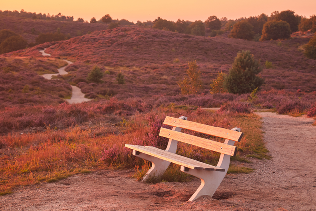 Wandelvakantie Gelderland mooiste wandelreizen Nederland