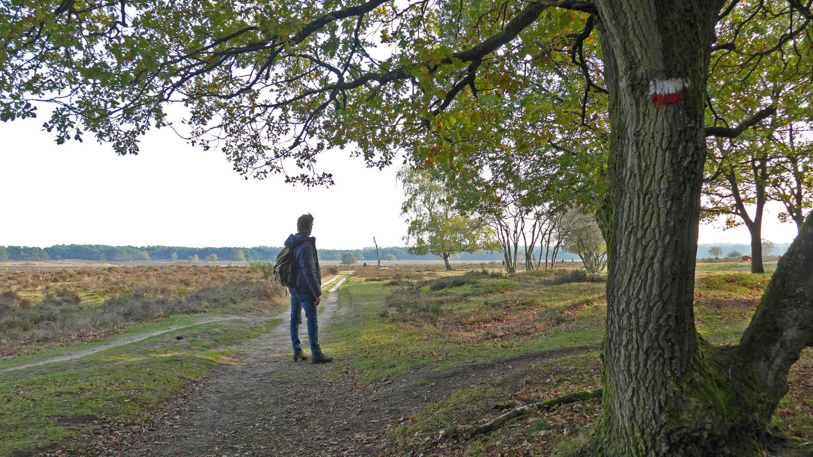 NS Wandeling Landgoed Groeneveld Station Baarn
