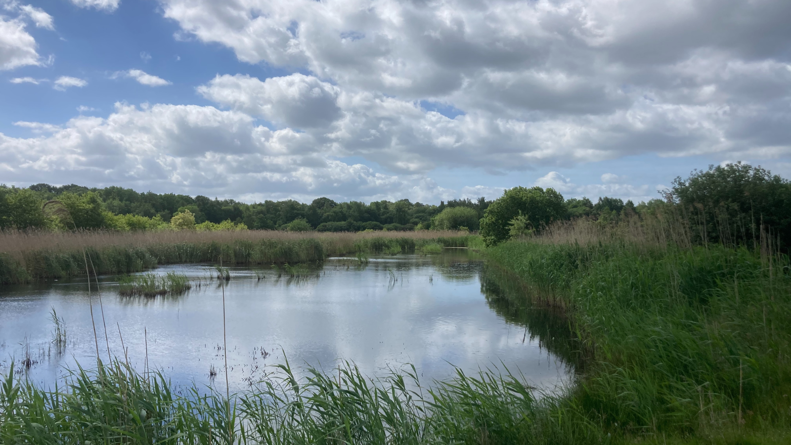 Boswachterspad Groningen Holle Beetse