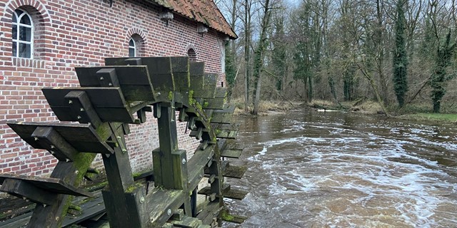 Wandelen Langs Het Water 10 Tips Watermolen