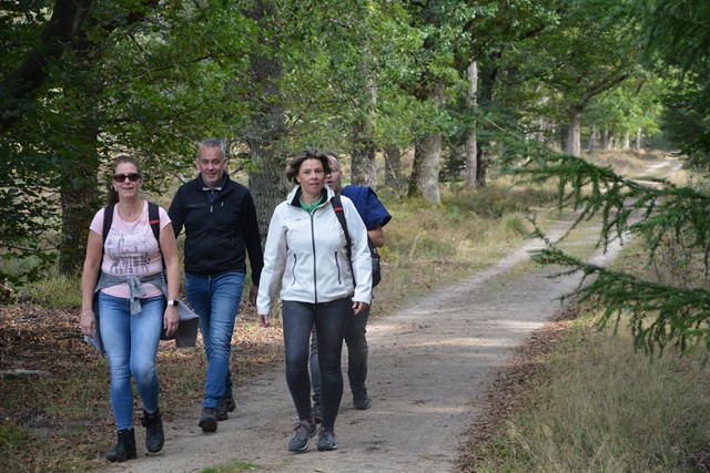 wandelaars in het bos tijdens de  Veluwe Herfstkleurenwandeltocht.