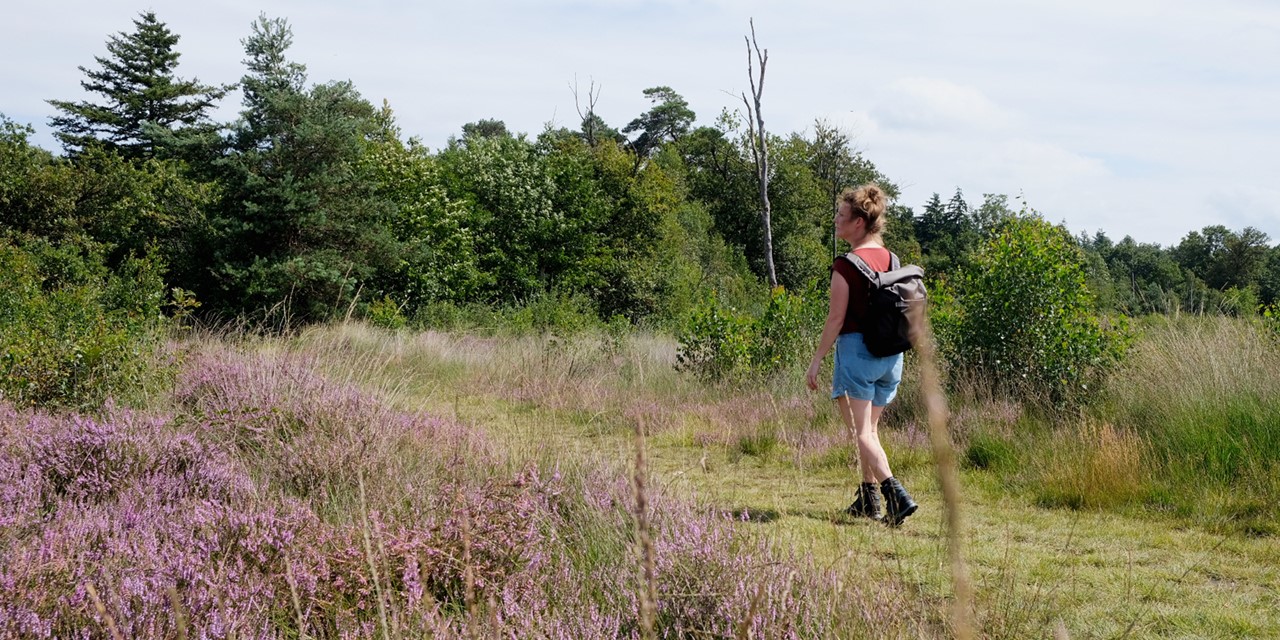 vrouw wandelt over de Strijbeekse Heide.