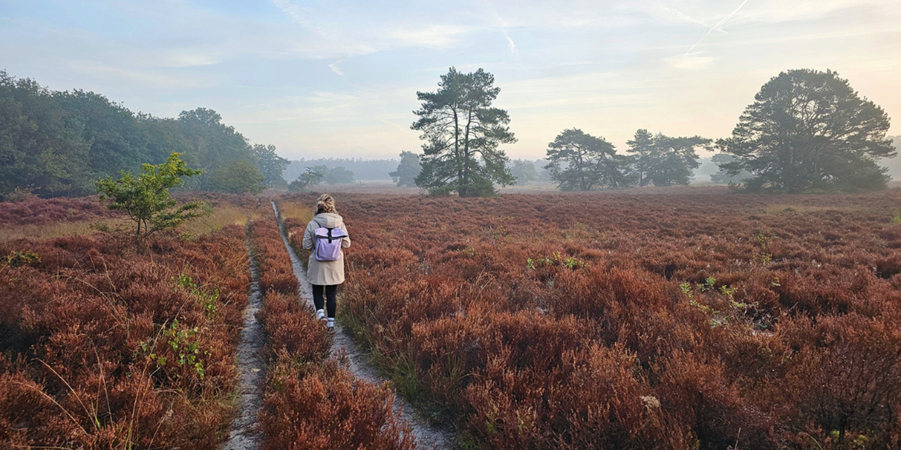 Wandelroute Veluwe Hendrik Mouwenveldroute (2)