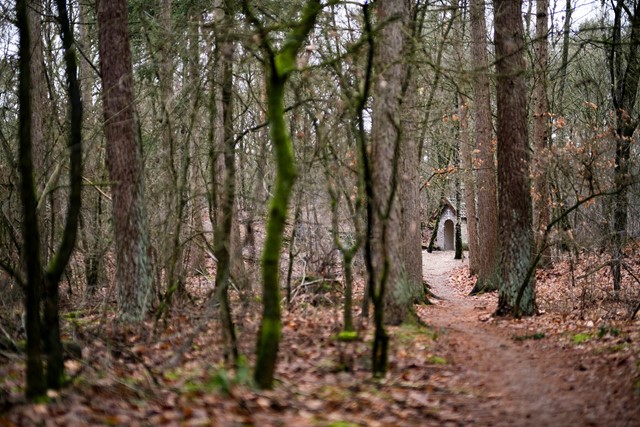 De Poaterskapel ligt mysterieus in het bos verscholen. 