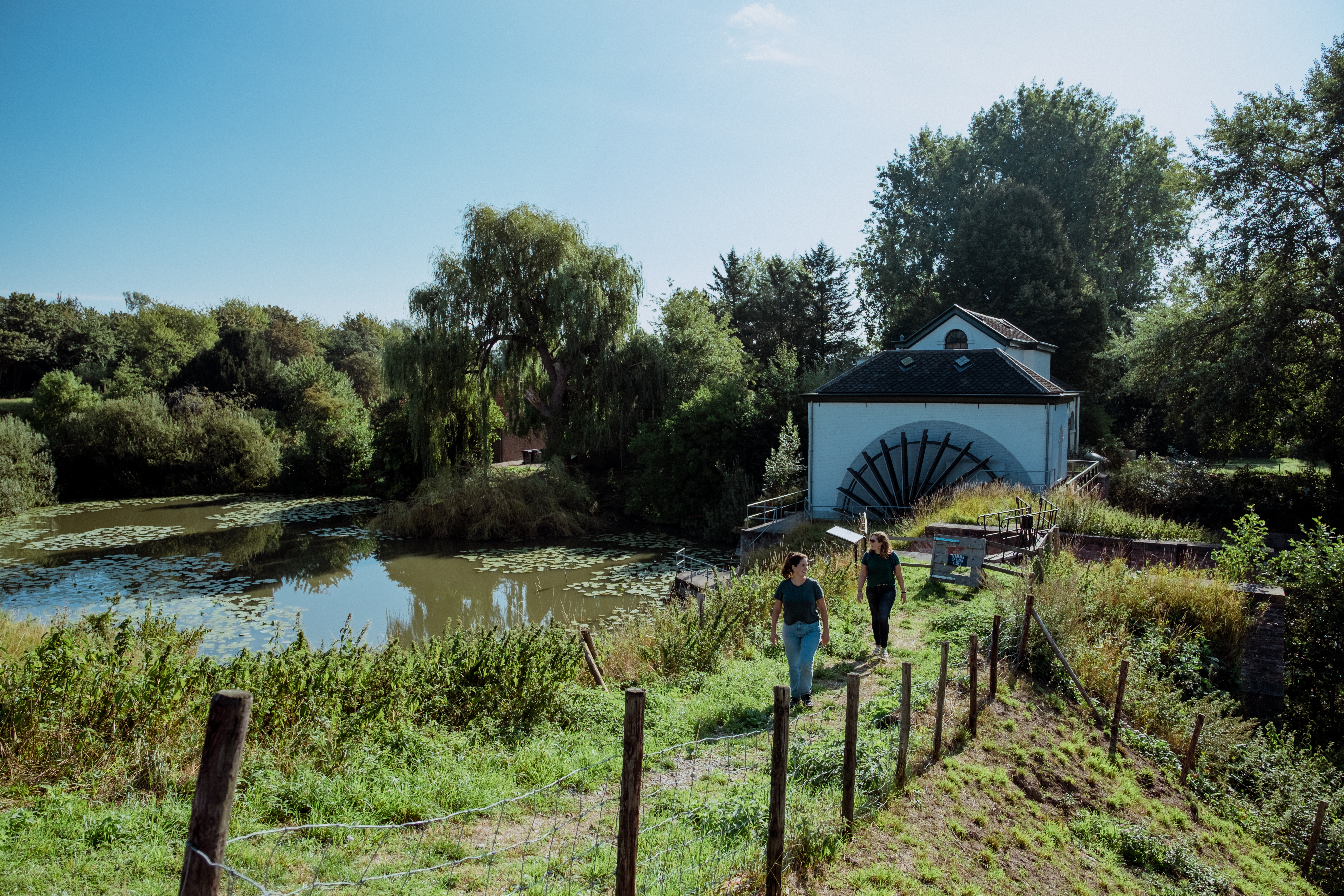 Wandelen in de omgeving van Glasstad Leerdam, met op de achtergrond een oude watermolen