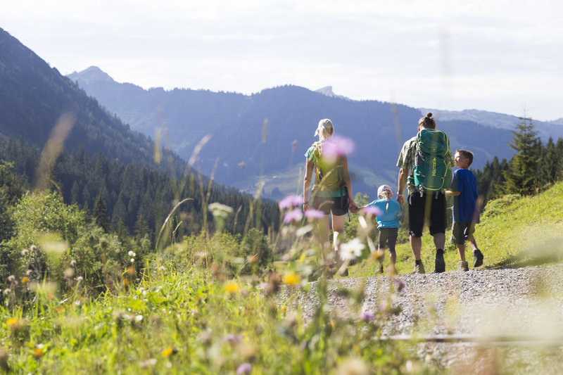 Wandelen in Oostenrijk: Kleinwalsertal