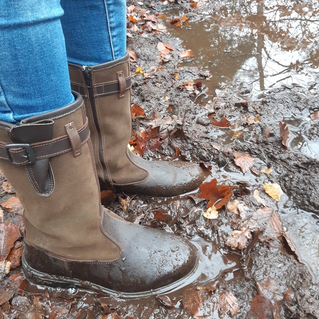 afbeelding van outdoorlaarzen bij een plas.