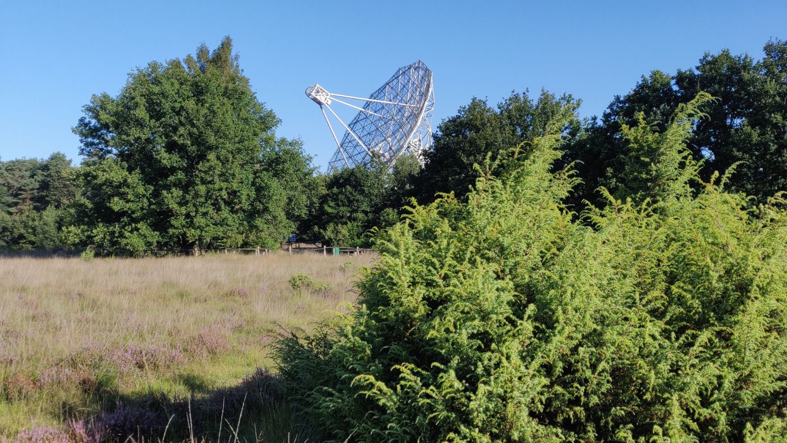 Wandelroute NP Dwingelderveld Jac. P. Thijsse Wandelroute