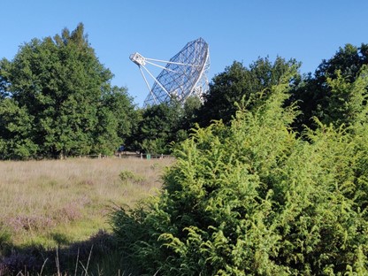 Wandelroute NP Dwingelderveld Jac. P. Thijsse Wandelroute