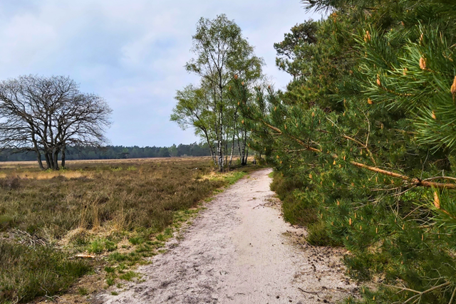 Wandelroute Veluwe Het Verscholen Dorp Afwisselende Natuur Op De