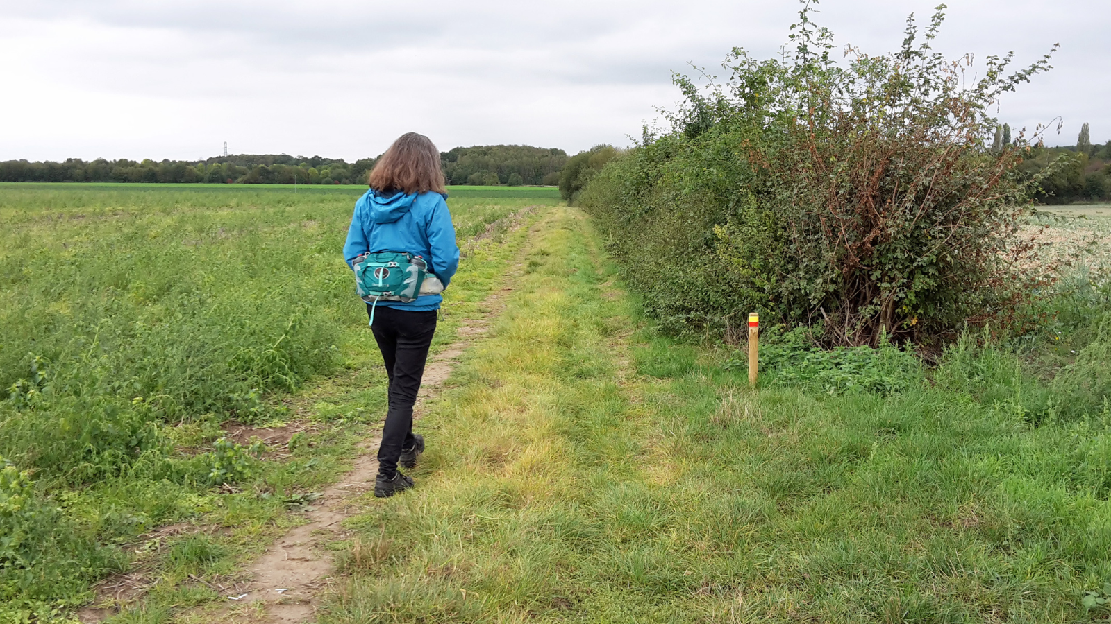 NS Wandeling Valkenburg Aan De Geul