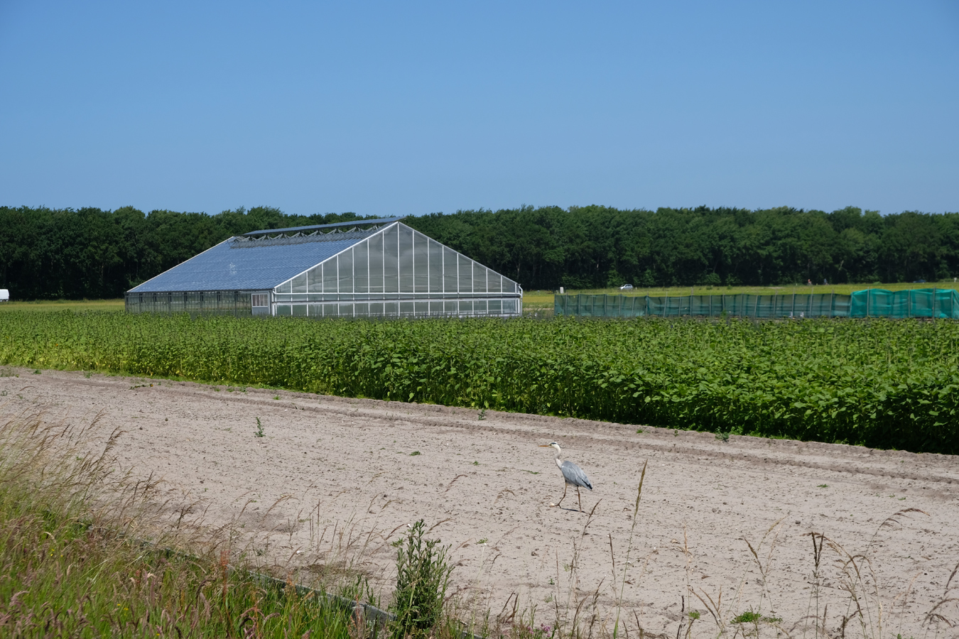 Foto van een kas op het boerenland bij het Langeveld