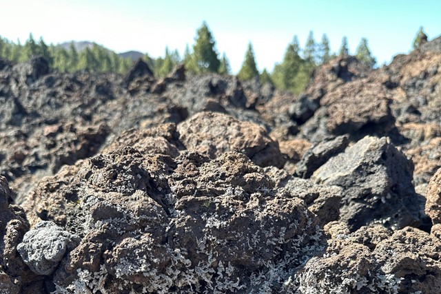 dikke laag vulkaangrond/lava.