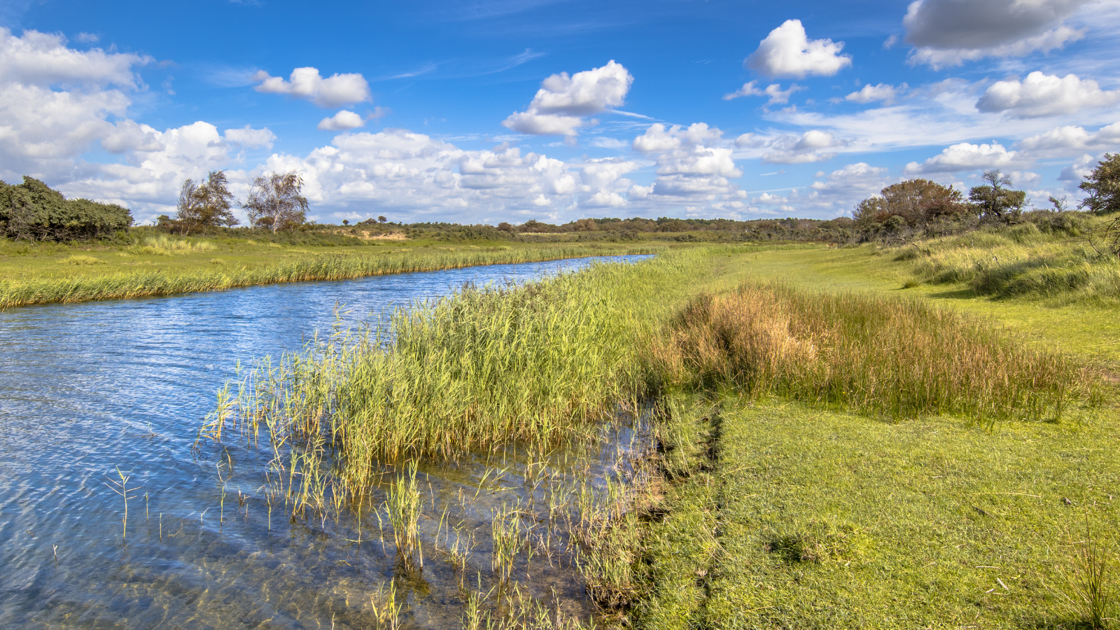 Wandelroute Amsterdamse Waterleidingduinen Tientje Waternet