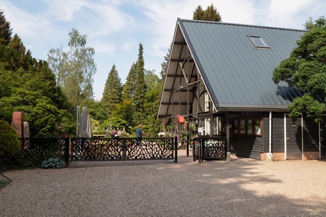Wandelen Door De Mooiste Arboreta Van Nederland: Bomenmuseum Gimborn