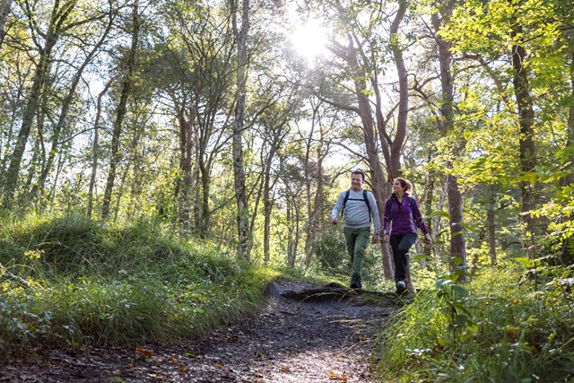 twee wandelaars in de zon in het bos.