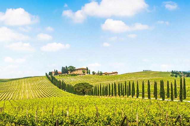 glooiend landschap in Toscane.