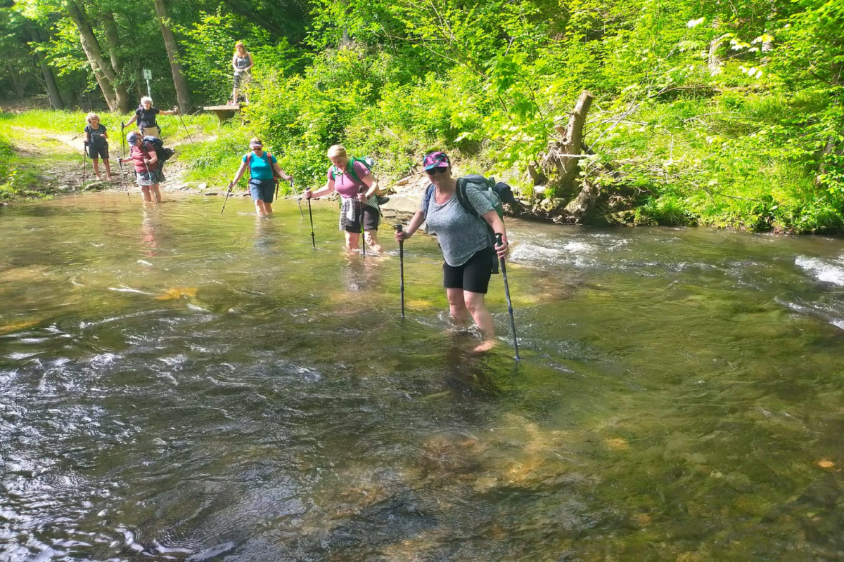 Wandelreis Langs Burcht Nideggen (3)