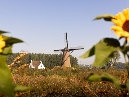 Van Gogh Wandelroutes Brabant 5x in de voetsporen van de meesterschilder: molen in Nuenen