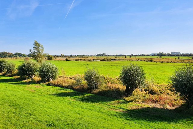 Wandelen in de ijstijd Amerongse Bos, Amerongse Bovenpolder.