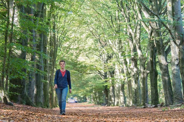 foto van een vrouw wandelend in het bos